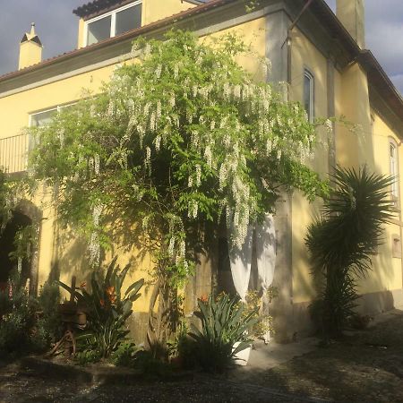 Villa Casa Magnolia à Braga Extérieur photo