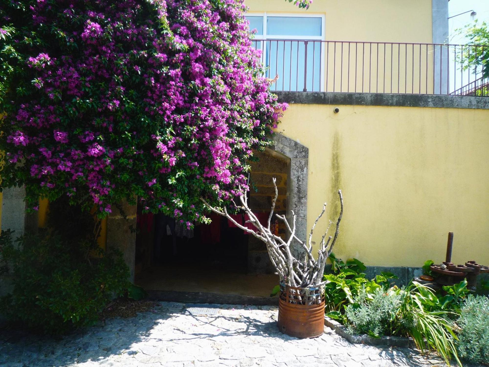 Villa Casa Magnolia à Braga Extérieur photo