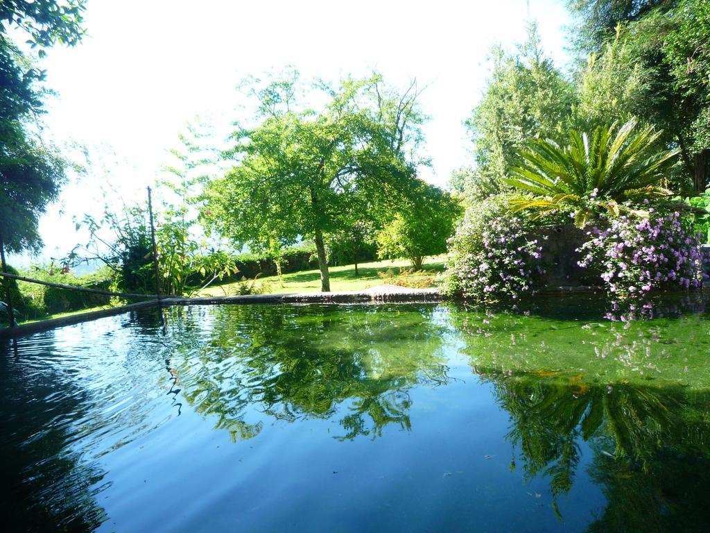 Villa Casa Magnolia à Braga Extérieur photo