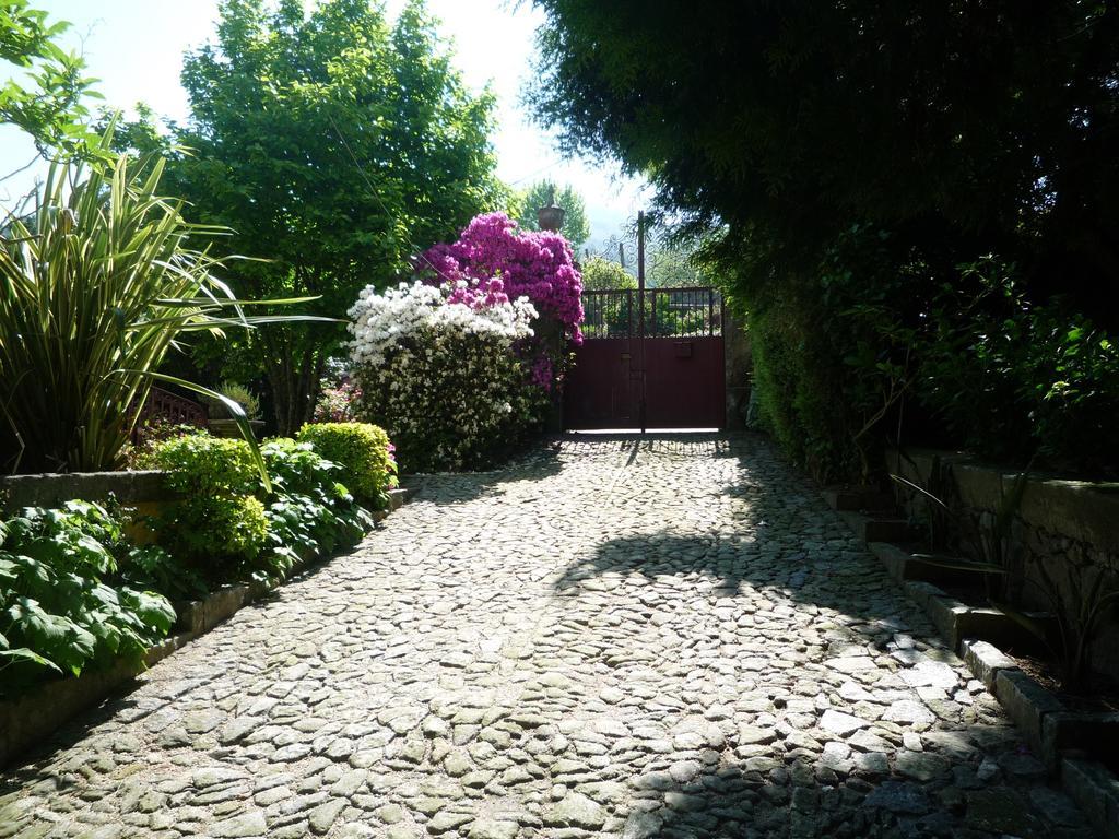 Villa Casa Magnolia à Braga Extérieur photo