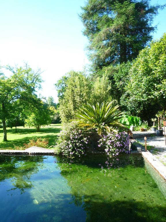 Villa Casa Magnolia à Braga Extérieur photo